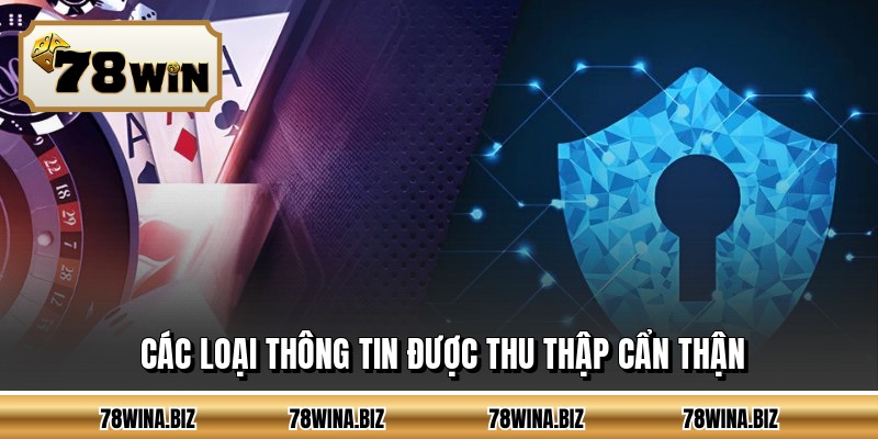 Các loại thông tin được thu thập cẩn thận