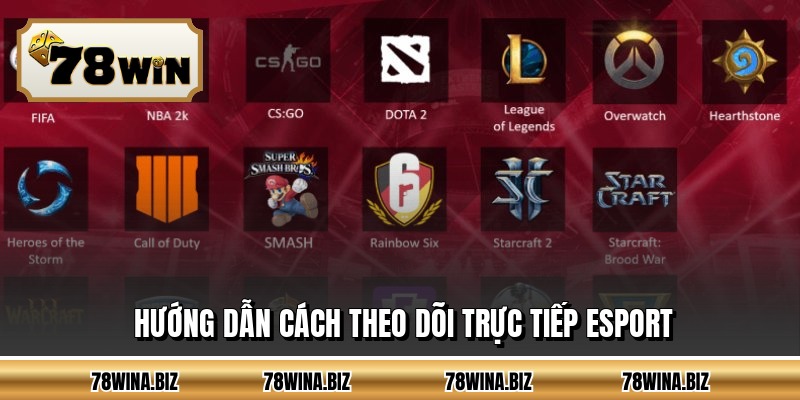 Hướng dẫn cách theo dõi trực tiếp esport