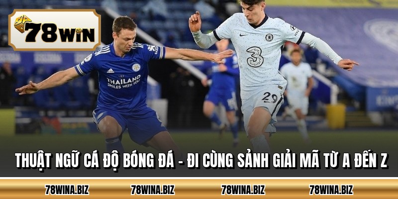 Thuật Ngữ Cá Độ Bóng Đá - Đi Cùng Sảnh Giải Mã Từ A Đến Z