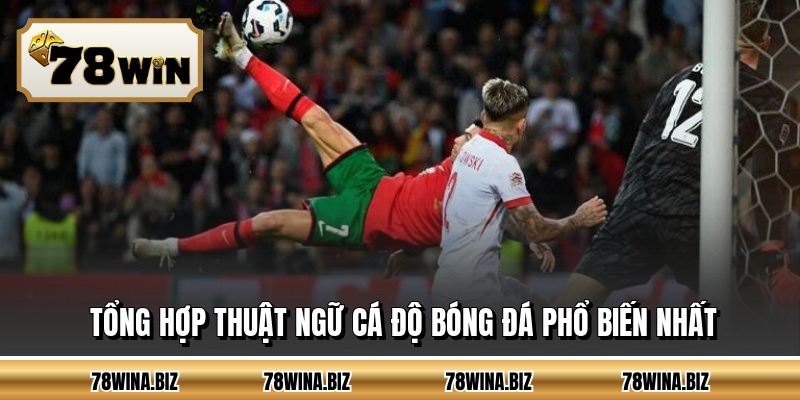 Tổng hợp thuật ngữ cá độ bóng đá phổ biến nhất