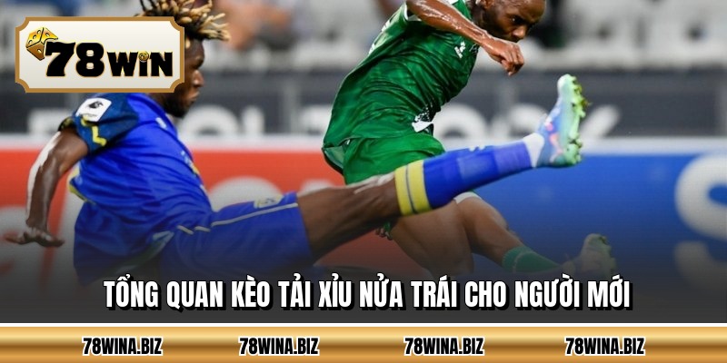 Tổng quan kèo tải xỉu nửa trái cho người mới