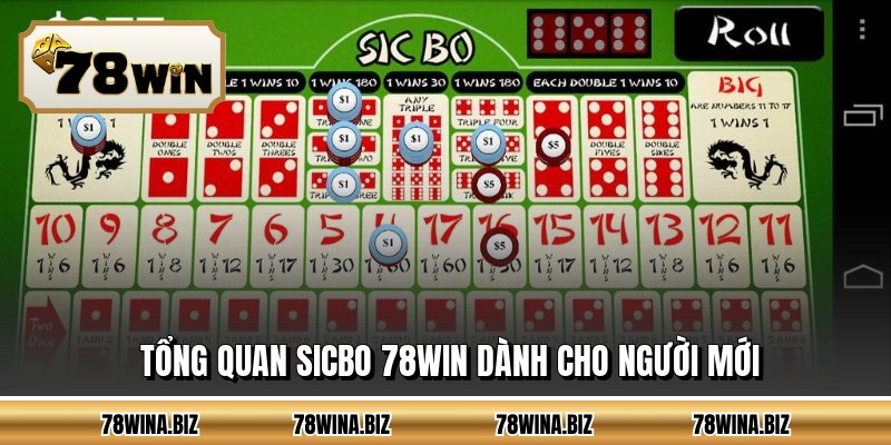 Tổng quan sicbo 78WIN dành cho người mới